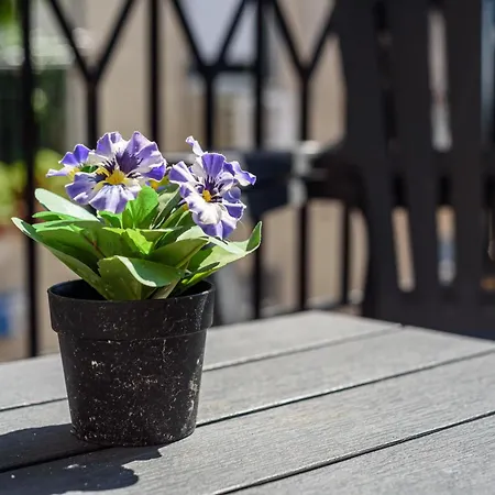La Terrazzina Sul Porto